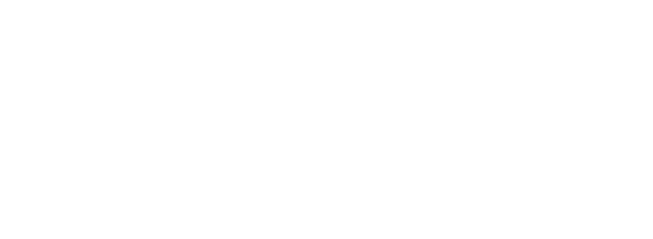 Silver Sphere logo