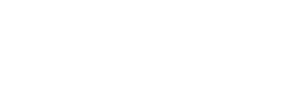 Zyn logo